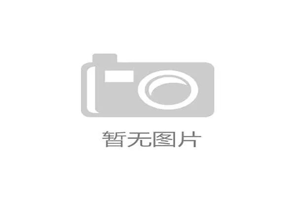 罗纳德·科曼打造的荷兰队攻守均衡，球队最大短板在于缺少高效的禁区终结者